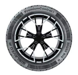 Gislaved PremiumControl 215/65R16 98H